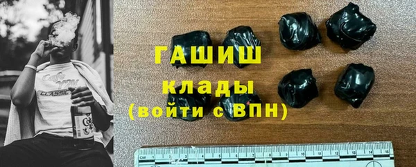 мдпв Ладушкин