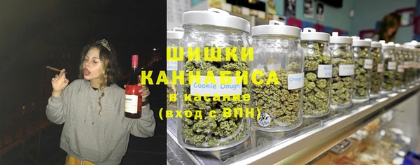 мдпв Ладушкин